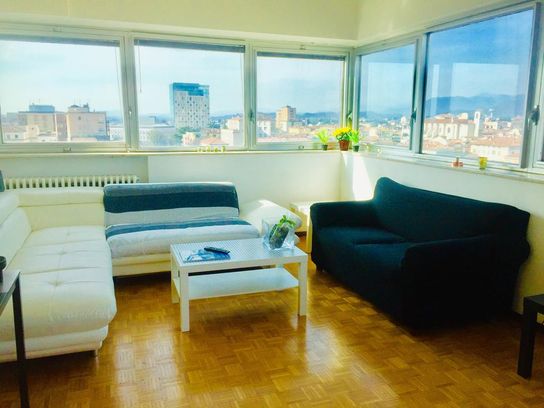 Panoramic Attic Apartment